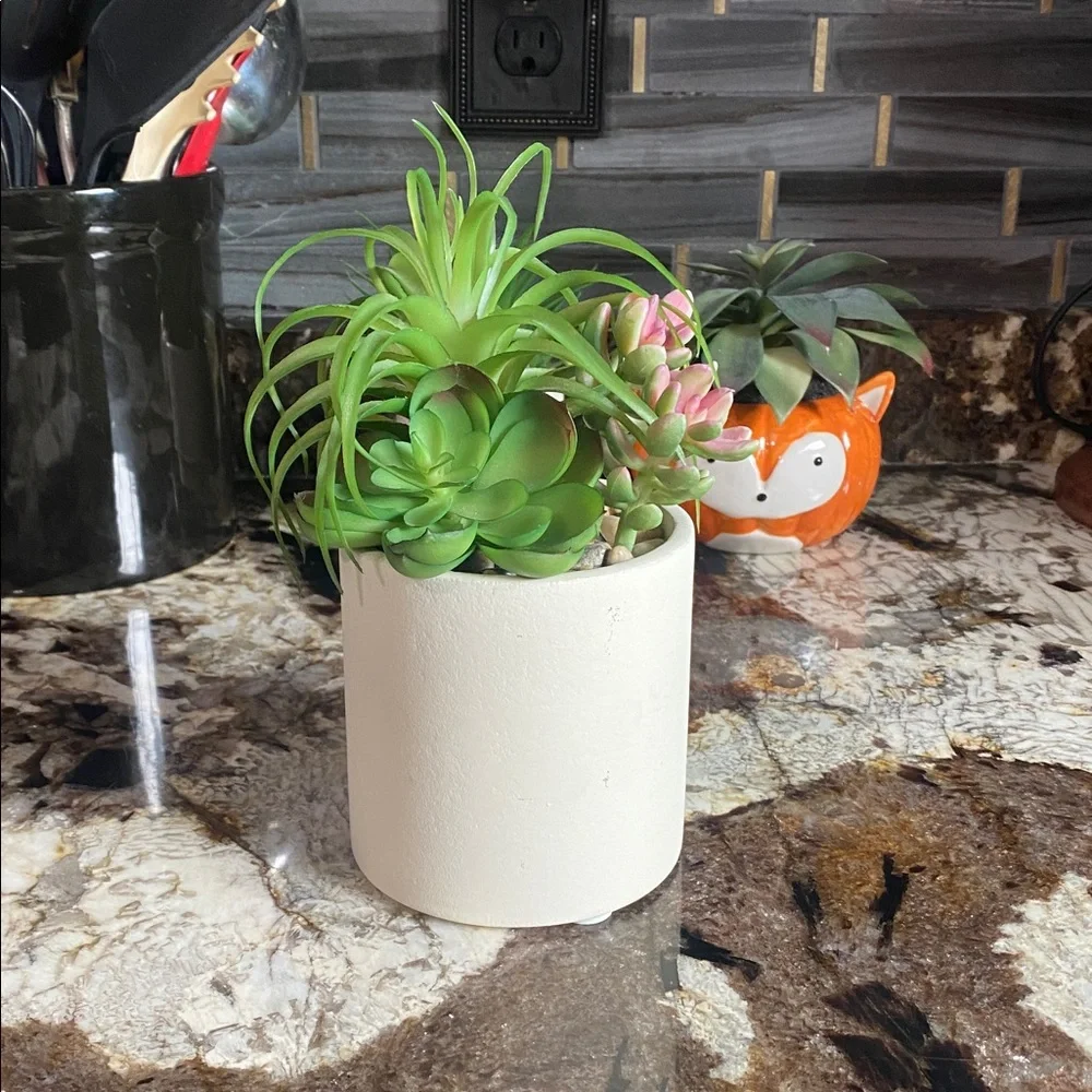 Green and Pink Succulent Arrangement in White Pot